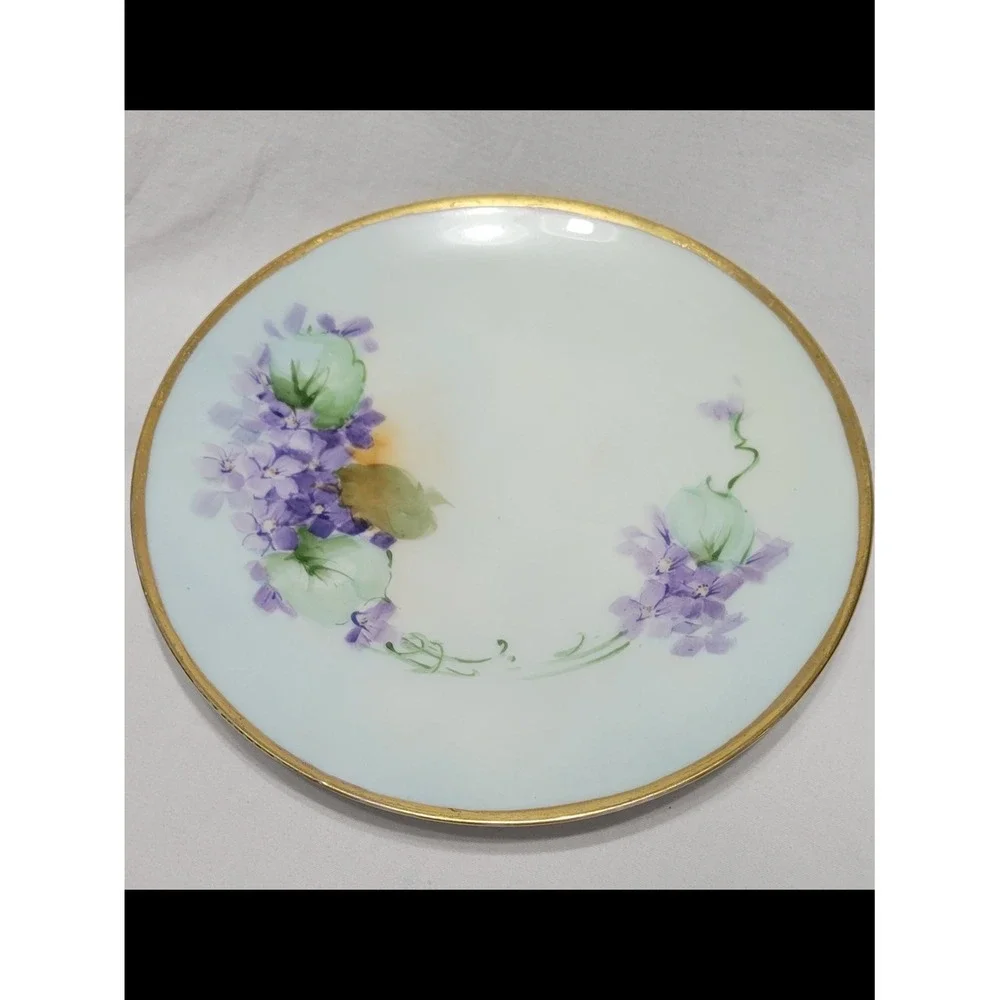 Thomas Sevres Bavaria Porcelain Floral Plate Gold Trim ~8 in Round Decorative